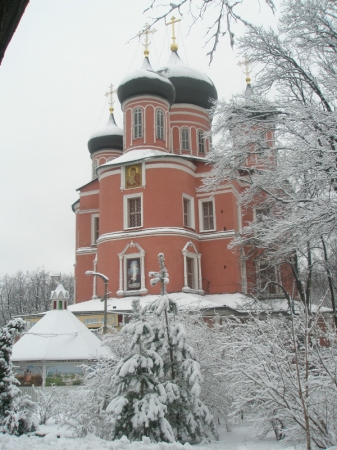 Зима в Донском монастыре